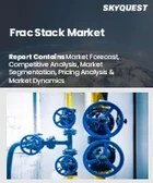 表紙：フラックスタック市場規模、シェア、および成長分析：フラックスタックタイプ別、坑井タイプ別、流体タイプ別、プロパンタイプ別、地域別－業界予測2026-2033年