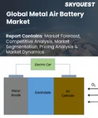 表紙：金属空気電池市場規模、シェア、成長分析：金属別、電圧別、タイプ別、用途別、地域別－業界予測2026-2033年