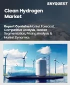 表紙：クリーン水素市場規模、シェア、および成長分析：種類別、製造方法別、用途別、地域別－業界予測2026-2033年