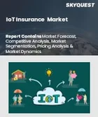 表紙：IoT保険市場の規模、シェア、成長分析：タイプ別、エンドユーザー別、コンポーネント別、地域別－業界予測 2026-2033年