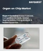 表紙：臓器オンチップ市場規模、シェア、成長分析：臓器タイプ別、モデルタイプ別、製品タイプ別、用途別、アプリケーション別、エンドユーザー別、地域別－業界予測 2026-2033年