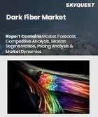 表紙：ダークファイバー市場規模、シェア、成長分析：業界別、ネットワーク別、アプリケーション別、地域別－業界予測2026-2033年