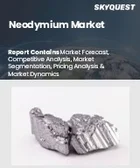 表紙：ネオジム市場規模、シェア、成長分析：用途別、最終用途別、地域別－業界予測2026-2033年