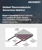 表紙：熱電発電機市場の規模、シェア、成長分析：構成要素別、地域別- 業界予測2026-2033年