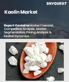 表紙：カオリン市場規模、シェア、成長分析：製造プロセス別、用途別、地域別－業界予測2026-2033年
