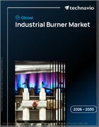表紙：工業用バーナーの世界市場、2026年～2030年