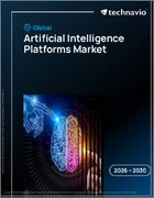 表紙：AIプラットフォームの世界市場 2026～2030年