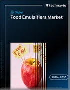 表紙：食品用乳化剤の世界市場、2026年～2030年