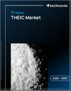 表紙：THEIC（トリス（２－ヒドロキシエチル）イソシアヌレート）の世界市場 2026-2030年