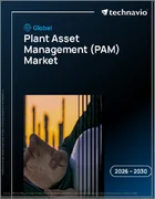 表紙：世界のプラント資産管理（PAM）市場2026-2030年