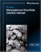表紙：世界の二硫化モリブデン（MoS2）市場2026-2030年