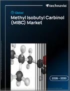 表紙：世界のメチルイソブチルカルビノール（MIBC）市場2026-2030年
