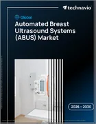 表紙：世界の自動乳房超音波システム（ABUS）市場2026-2030年