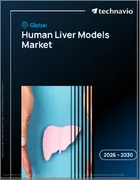 表紙：世界のヒト肝臓モデル市場2026-2030年