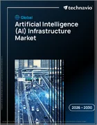 表紙：世界の人工知能（AI）インフラ市場2026-2030