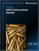 表紙：世界のNATO弾薬市場2026-2030年