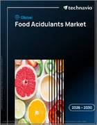 表紙：世界の食品用酸味料市場2026-2030年