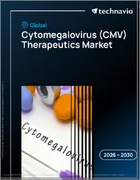 表紙：世界のサイトメガロウイルス（CMV）治療薬市場2026-2030年