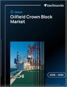 表紙：世界の油田クラウンブロック市場2026-2030年
