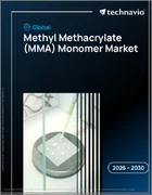 表紙：メタクリル酸メチル（MMA）モノマーの世界市場、2026年～2030年