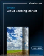 表紙：世界の人工降雨市場（2026年～2030年）