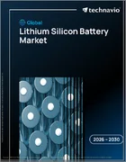 表紙：世界のリチウムシリコン電池市場（2026年～2030年）