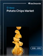表紙：世界のポテトチップス市場2026-2030年