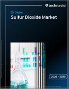 表紙：世界の二酸化硫黄市場2026-2030年