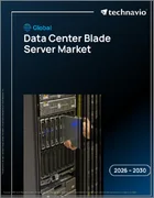 表紙：世界のデータセンターブレードサーバー市場2026-2030年