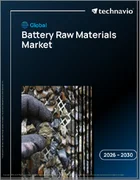 表紙：世界の電池原料市場2026-2030年