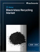 表紙：世界のブラックマスリサイクル市場2026-2030年