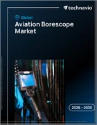 表紙：世界の航空用ボアスコープ市場2026-2030年