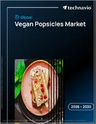 表紙：世界のビーガンアイスキャンディー市場（2026年～2030年）