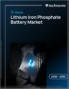 表紙：世界のリン酸鉄リチウム電池市場2026-2030年