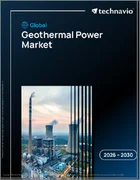 表紙：地熱発電の世界市場、2026年～2030年