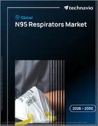 表紙：世界のN95マスク市場2026-2030年