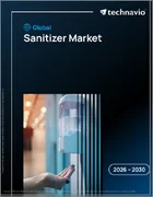 表紙：世界の消毒剤市場2026-2030年