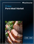 表紙：世界の豚肉市場2026-2030年