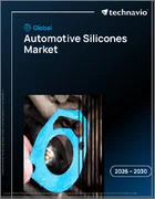 表紙：世界の自動車用シリコーン市場2026-2030年