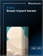 表紙：世界の乳房インプラント市場2026-2030年