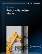 表紙：世界のロボットパレタイザー市場2026-2030年