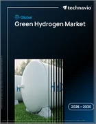 表紙：世界のグリーン水素市場2026-2030年