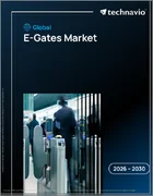 表紙：世界の電子ゲート市場2026-2030年