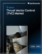 表紙：世界の推力ベクトル制御（TVC）市場2026-2030年