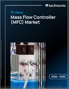 表紙：世界のマスフローコントローラー（MFC）市場2026-2030年