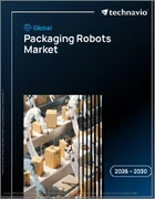 表紙：世界の包装ロボット市場2026-2030年