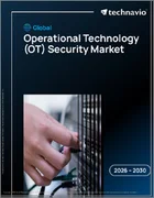 表紙：世界の運用技術（OT）セキュリティ市場2026-2030年