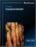 表紙：世界のキャッサバ市場2026-2030年