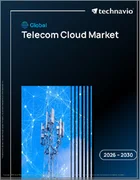 表紙：テレコムクラウドの世界市場、2026年～2030年