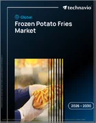 表紙：世界の冷凍ポテトフライ市場2026-2030年